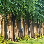 Gemuetliche Ferienunterkuenfte Mit Garten In Feriehus Zweedorf