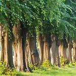 Gemuetliche Ferienunterkuenfte Mit Garten In Zweedorf