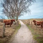 Gemuetliche Ferienunterkuenfte Mit Garten In * Zweedorf