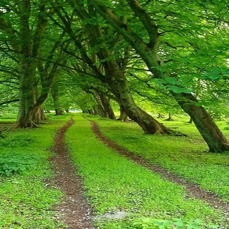 Gemuetliche Ferienunterkuenfte Mit Garten In Zweedorf