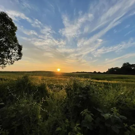 Gemuetliche Ferienunterkuenfte Mit Garten In