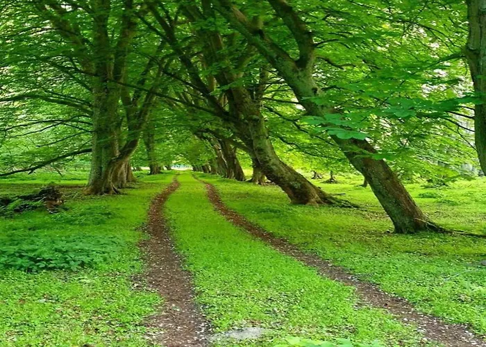 Gemuetliche Ferienunterkuenfte Mit Garten In Holiday home