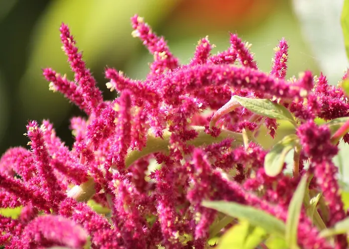 Gemuetliche Ferienunterkuenfte Mit Garten In * Zweedorf