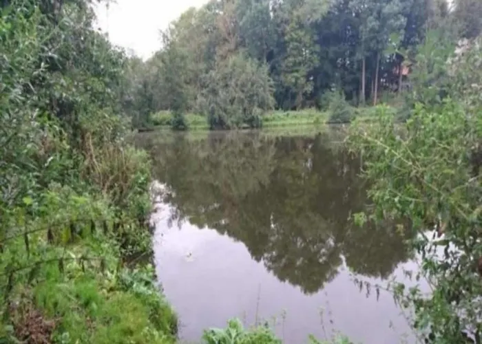 Vakantiehuis Gemuetliche Ferienunterkuenfte Mit Garten In