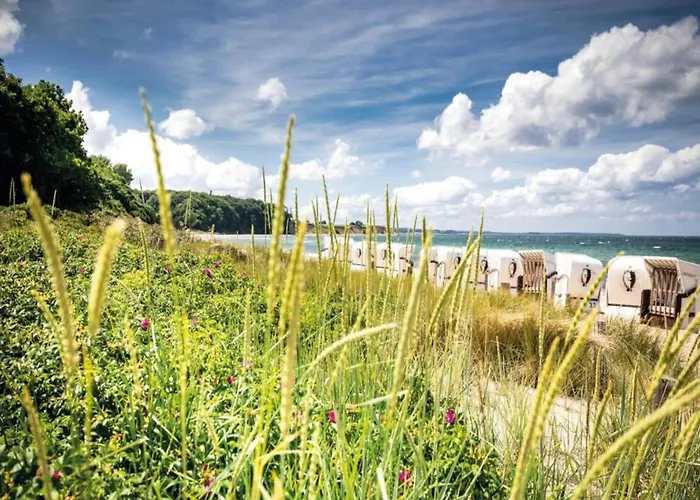 Vakantiehuis Gemuetliche Ferienunterkuenfte Mit Garten In *