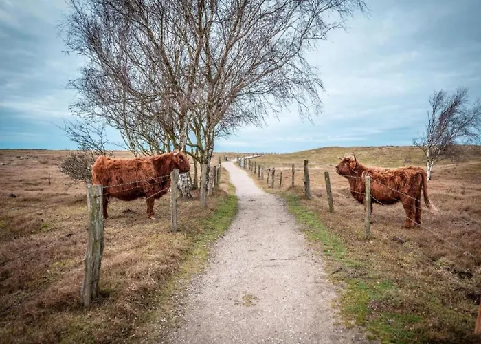 Gemuetliche Ferienunterkuenfte Mit Garten In